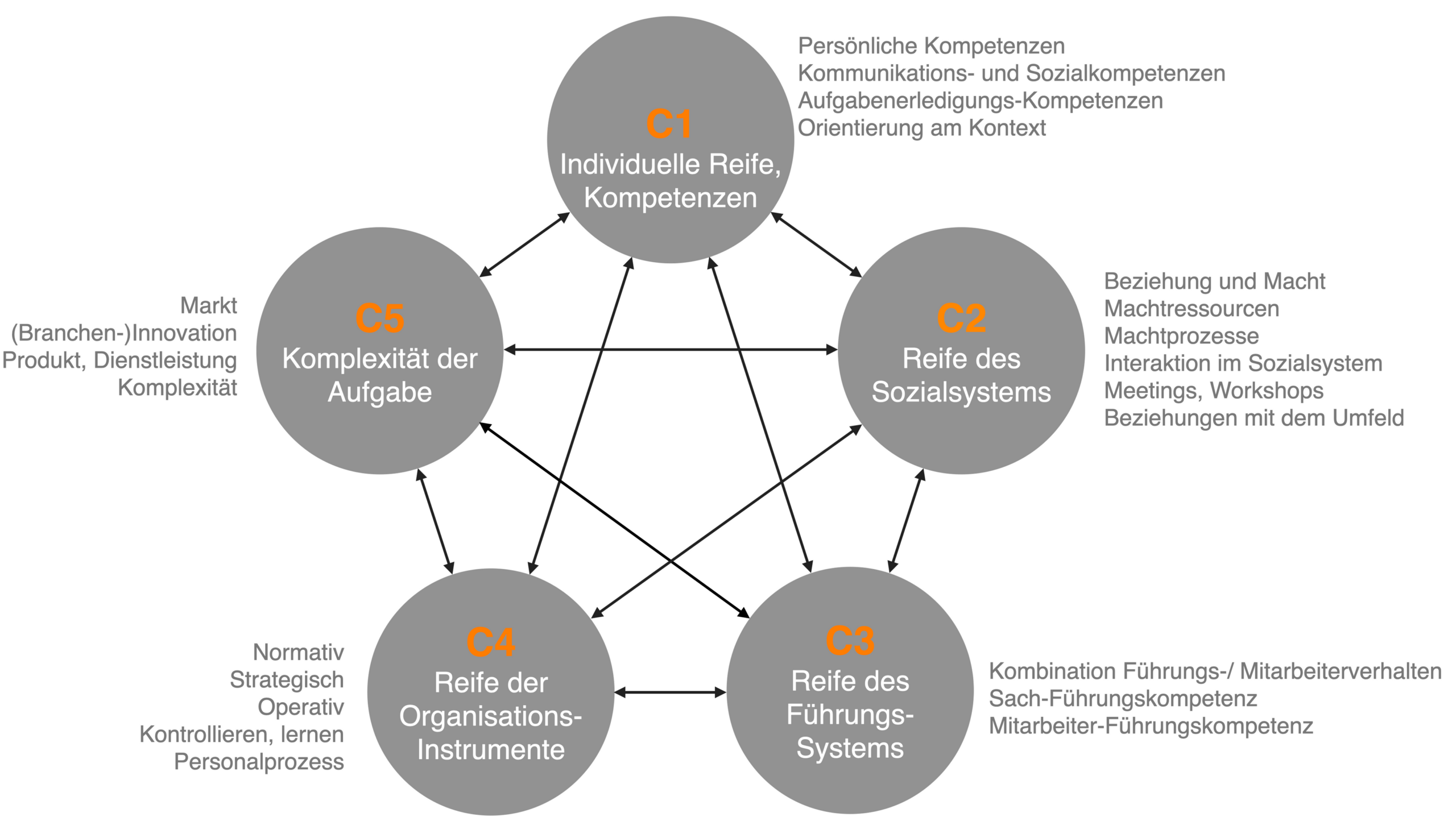 Die fünf miteinander verzahnten Wesenselemente einer Organisation